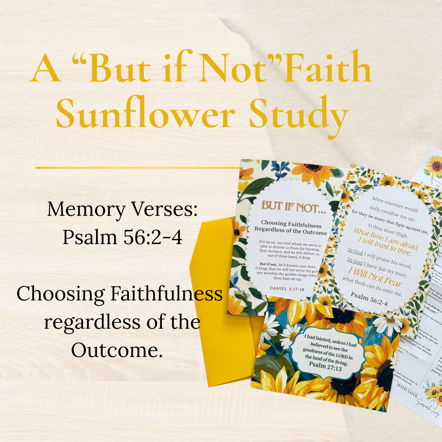 The “But if Not” Faith Study - July 2026