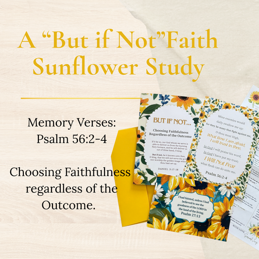 The “But if Not” Faith Study - July 2026