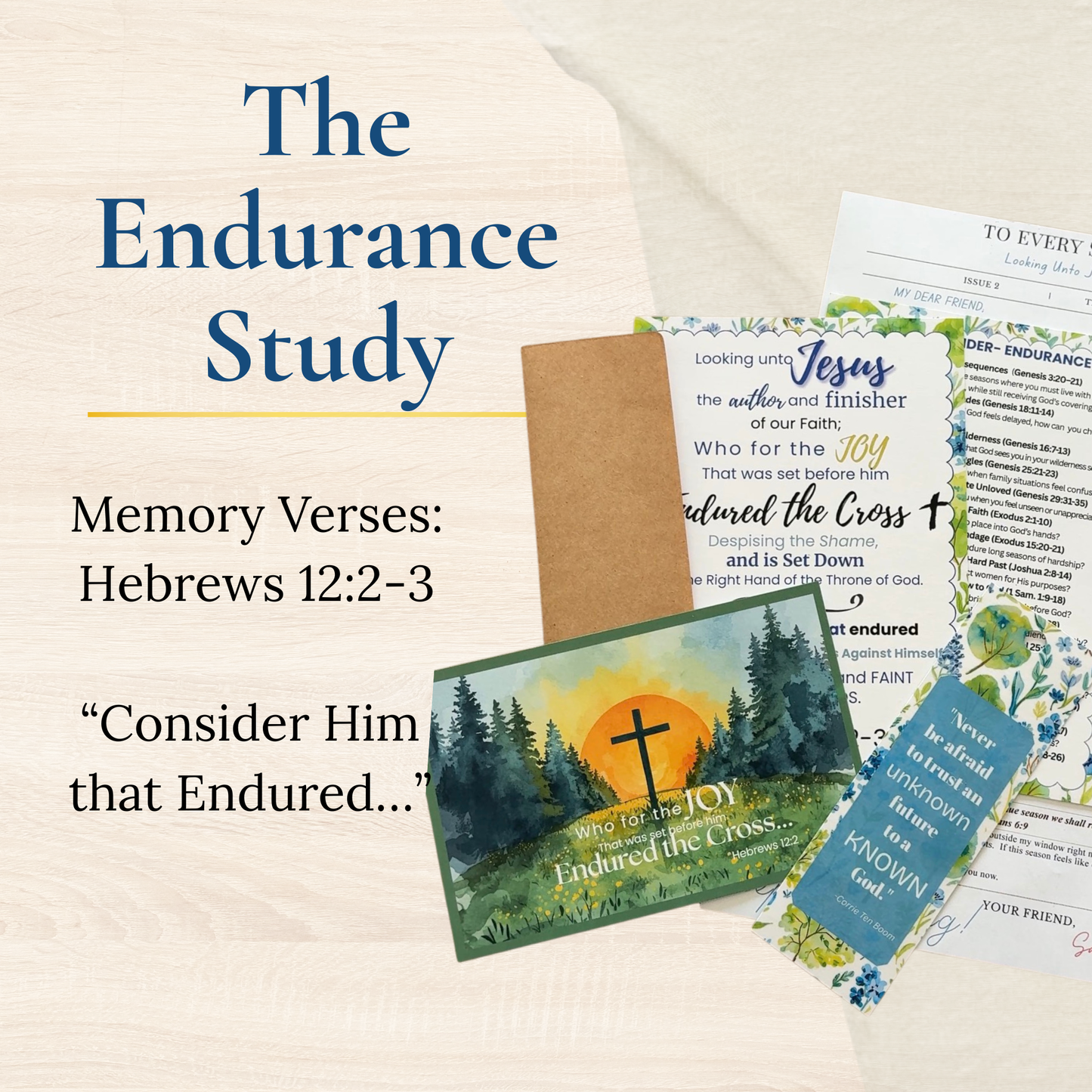 The Endurance Study